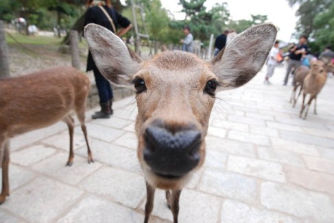 DSC_0026 BLOG DSC_0026 BLOG