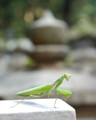 DSC_0223_14BLOG DSC_0223_14BLOG