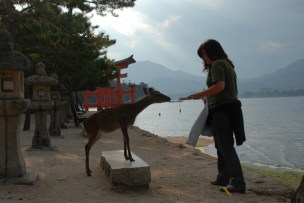 JAPÓ_3492 JAPÓ_3492