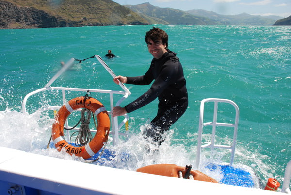 A punt de nedar entre dofins