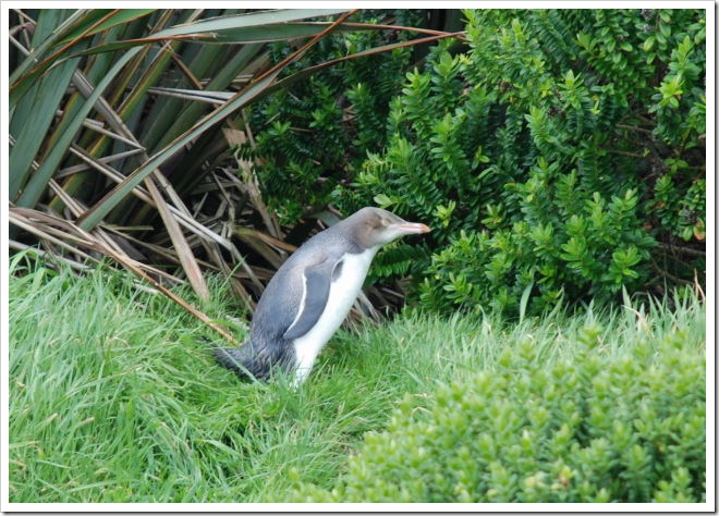 2010-11-06_11-52-34 (1)