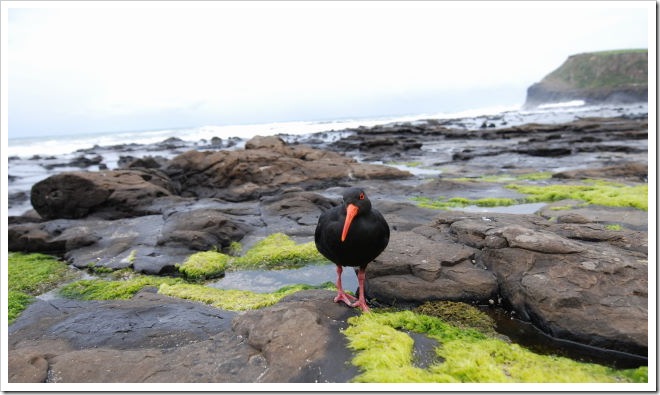 2010-11-06_12-31-34 (1)