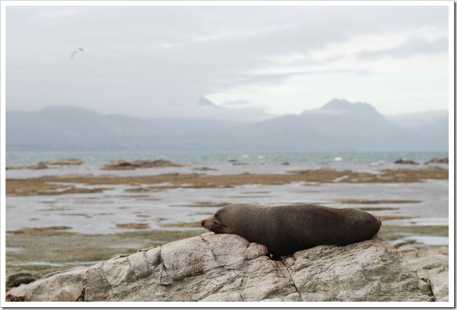 2010-11-15_18-54-04 (1)