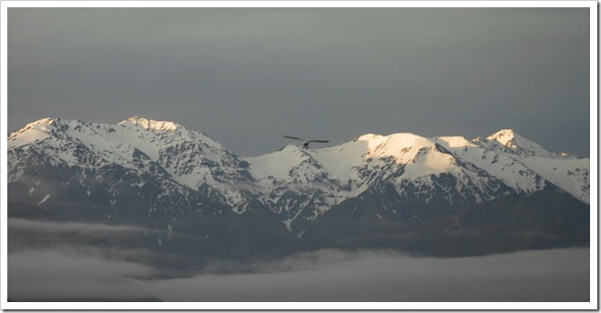 2010-11-15_20-00-48 (1)