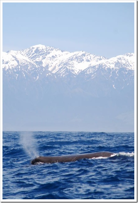 2010-11-16_11-39-50 (1)