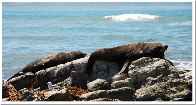 2010-11-16_14-12-14 (1)