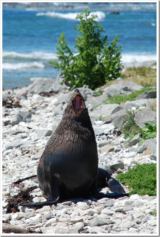 2010-11-16_14-20-02 (1)