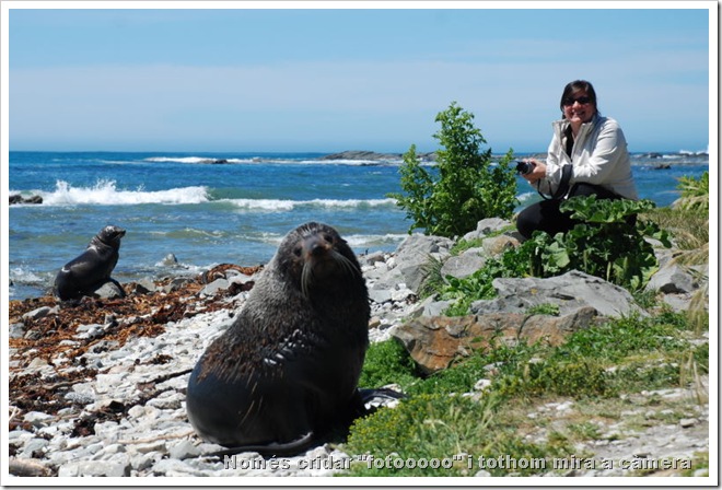 2010-11-16_14-22-06 (1)