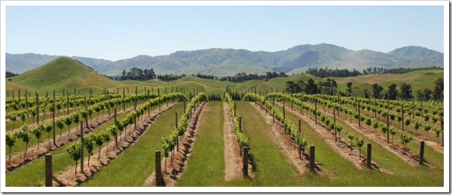 2010-11-16_16-06-48 (1)