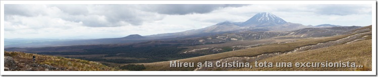 2010-11-18_14-33-25 (1)