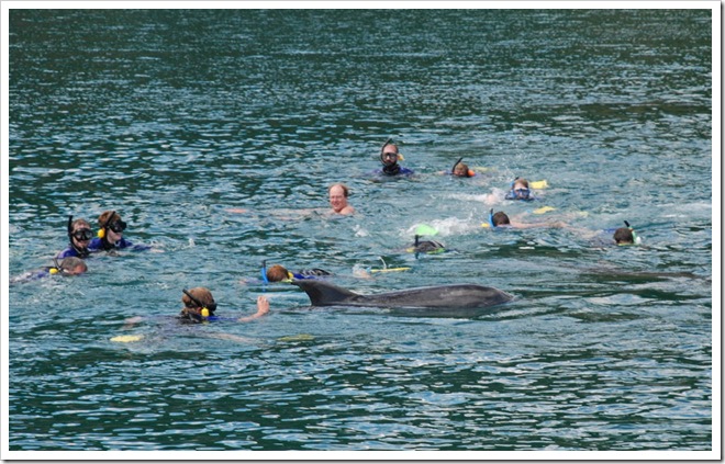 2010-11-23_10-21-59 (1)