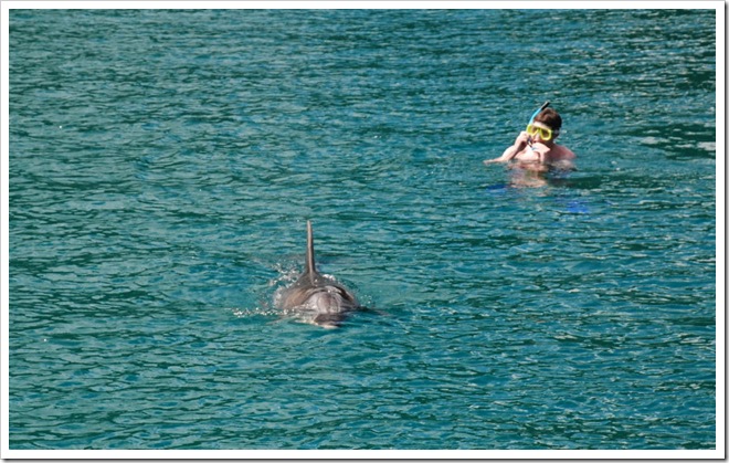 2010-11-23_10-27-28 (1)