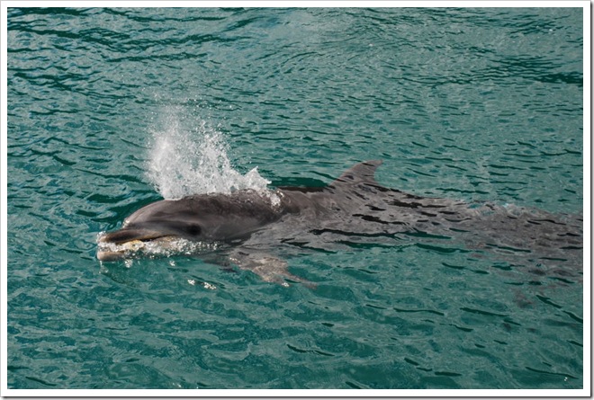 2010-11-23_10-28-18_01 (1)