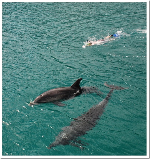 2010-11-23_10-28-27_01 (1)