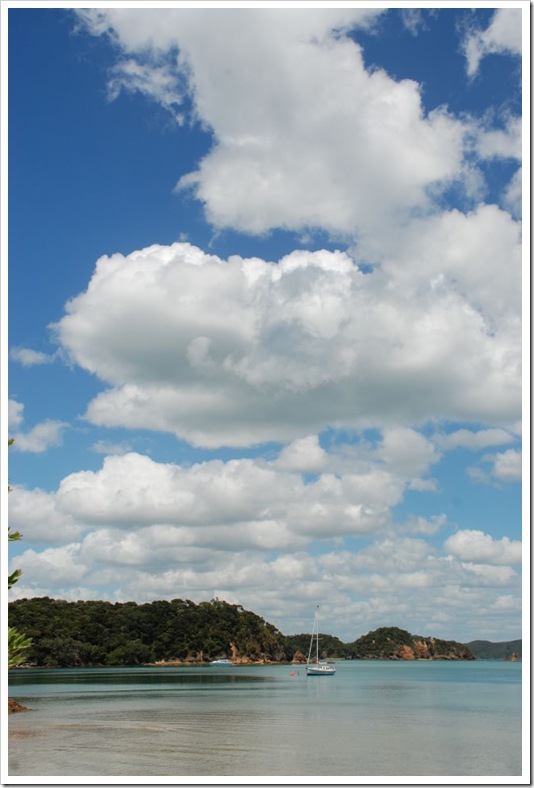 2010-11-23_12-03-48_01