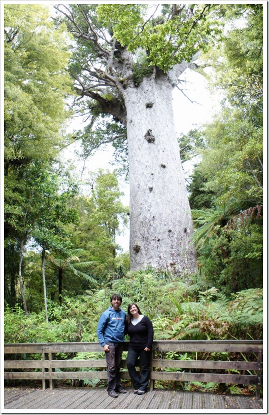 2010-11-23_17-03-33 (1)