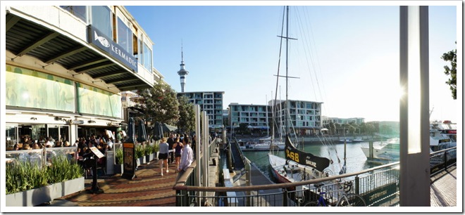 2010-11-24_19-07-52 (1)