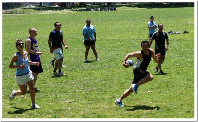 nova zelanda auckland rugbi