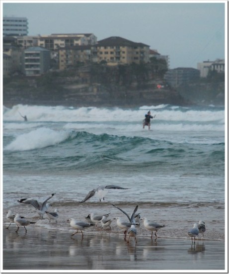 2010-11-27_18-47-41 (2)