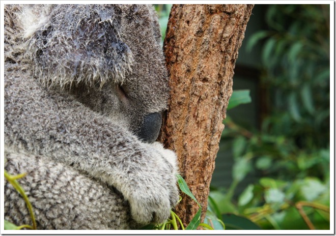 2010-11-28_16-08-47 (1)