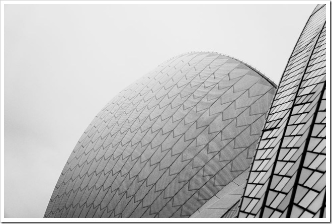 2010-11-29_17-38-48 (1)