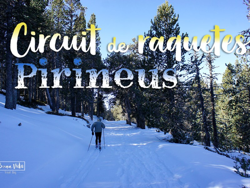 Excursió amb raquetes de neu a l’estació d’Espot. Pirineu&nbsp;català