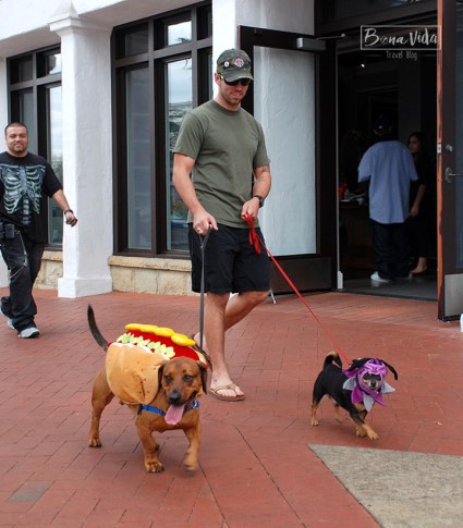 Tothom té la seva disfrressa