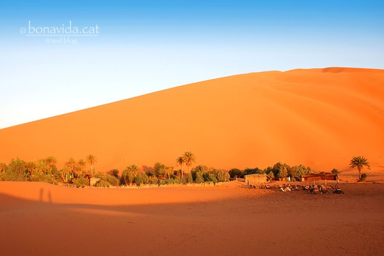 El campament està situat sota una enorme duna