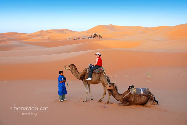 Se'ns afegeix un grup de turistes