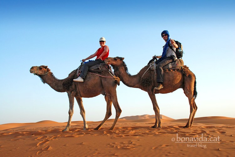 El dromedari, el millor transport possible. Semblem uns tuaregs de pacotilla...