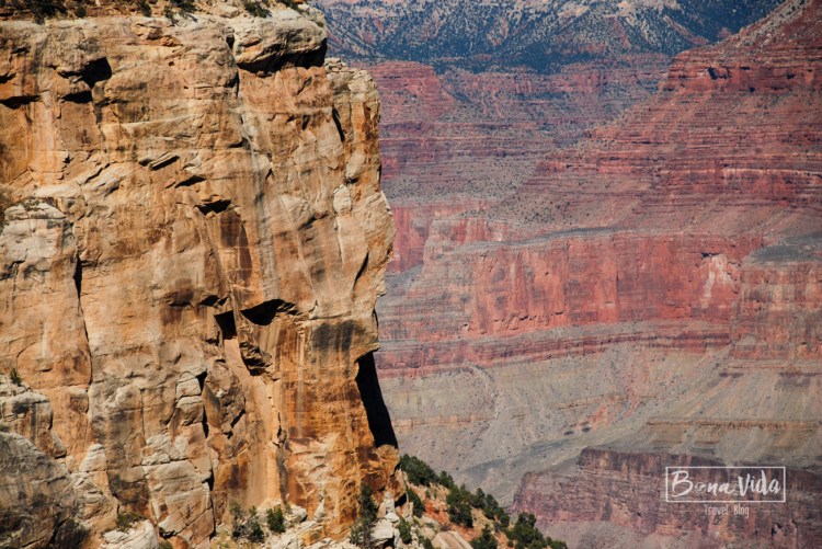 usa grand canyon-23