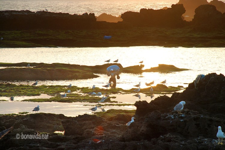 Pescadors al capvespre