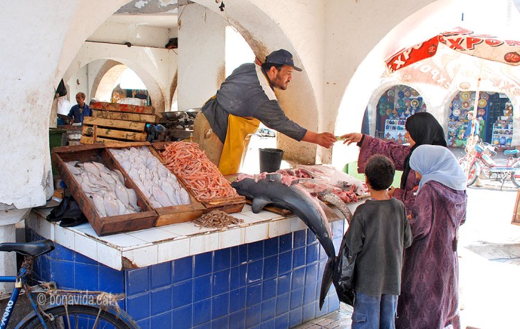 Marroc Essaouira ven peix