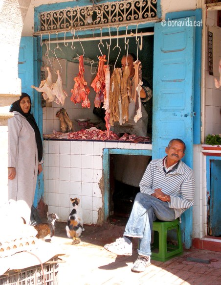 Els gats esperen la seva oportunitat a les parades de carn