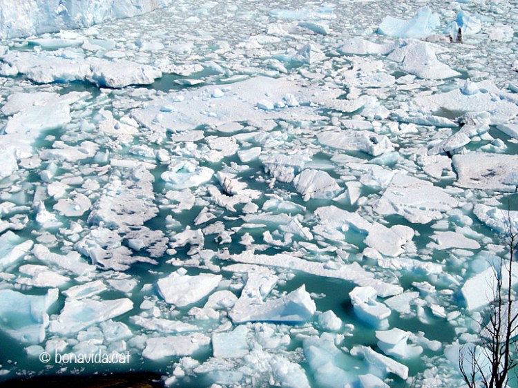 perito moreno argentina 03