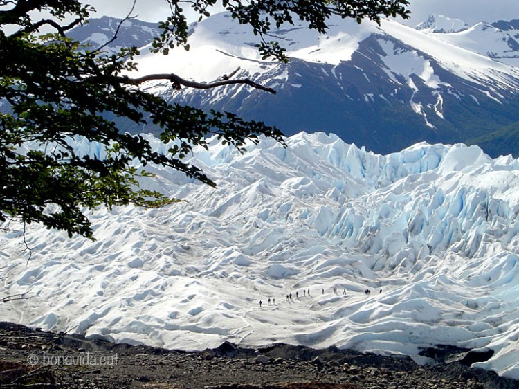 perito moreno argentina 04