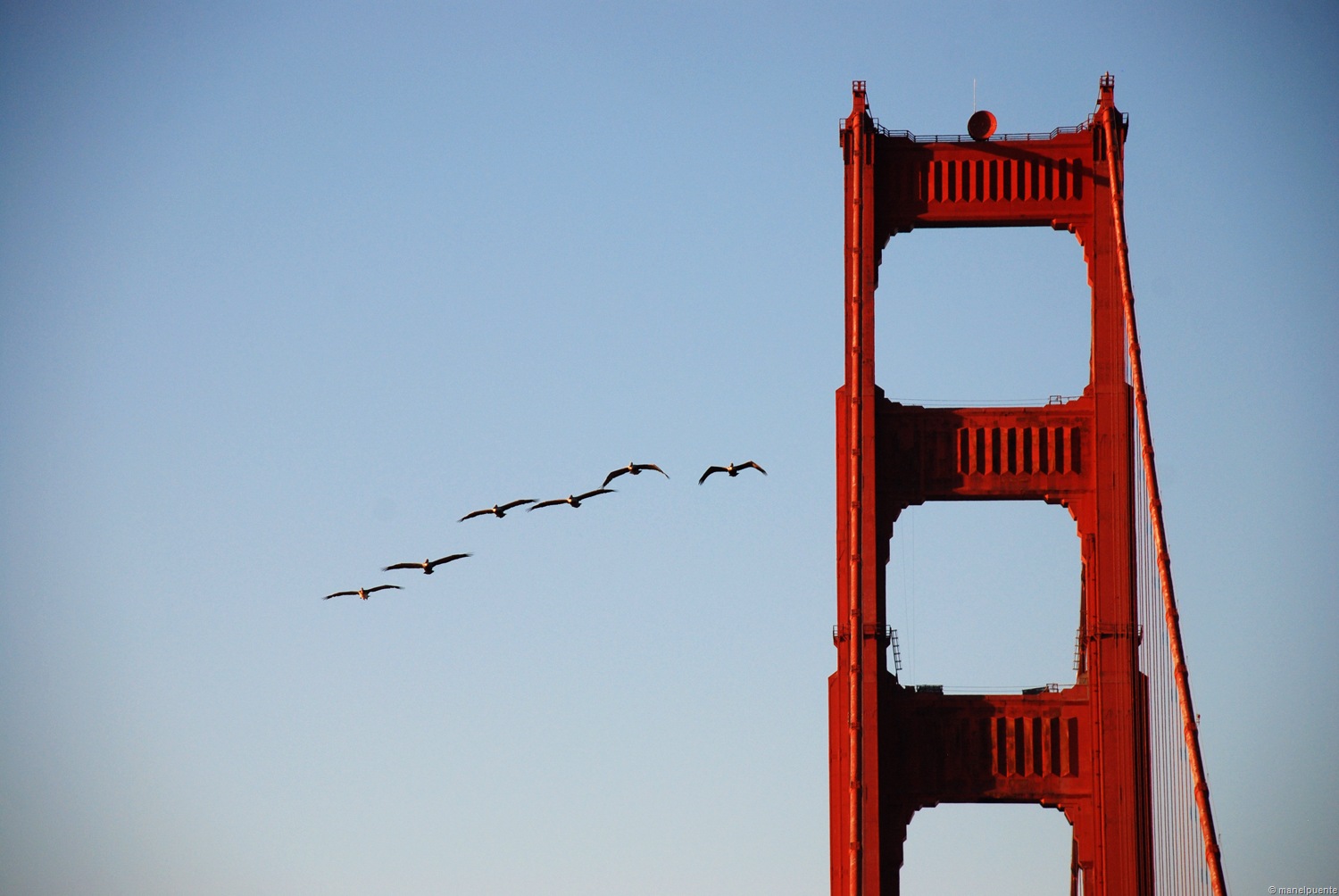 Golden-Gate_04.jpg