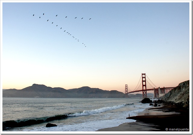 Golden Gate_08