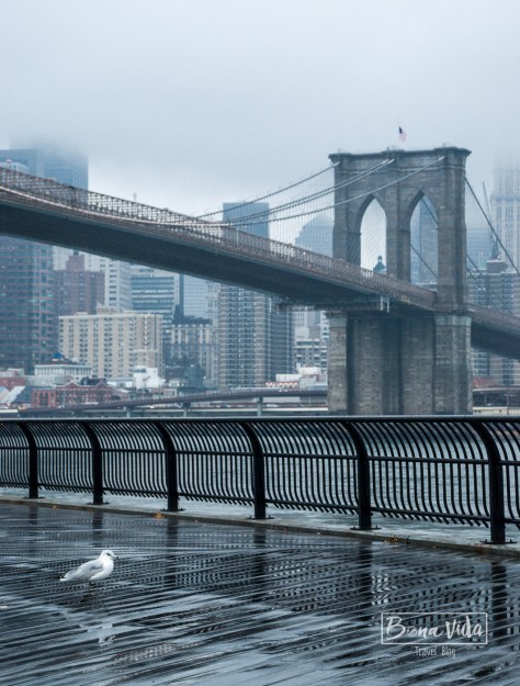 newyork pluja-7