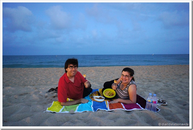 picnic platja 2
