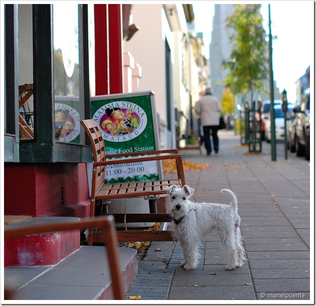 carrer Skólavördustigur de Reykjavik
