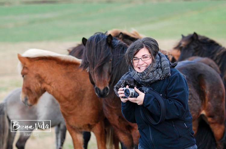 islandia cavalls-18