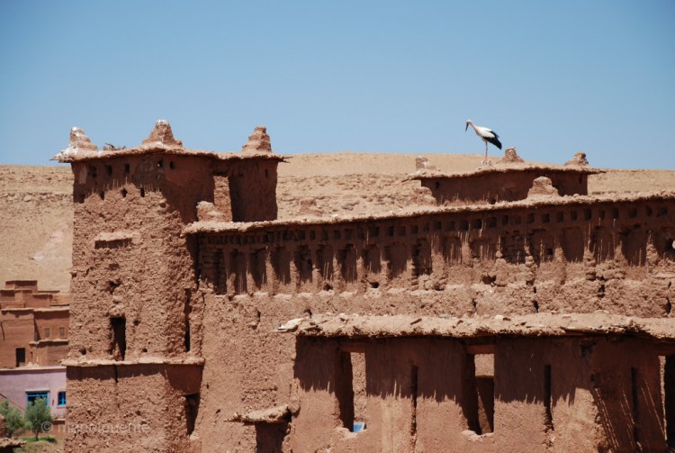 marroc Ait Benhaddou 06