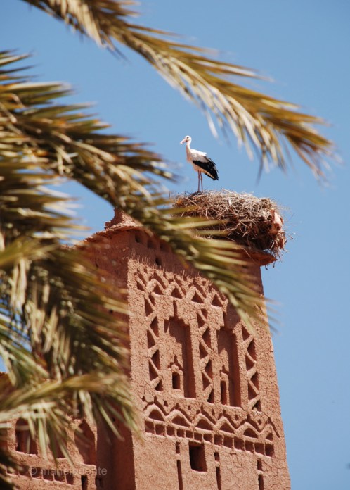 marroc Ait Benhaddou 20