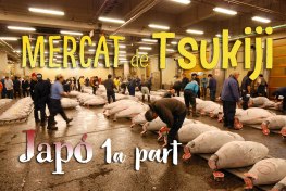 2a visita al mercat del peix de Tsukiji. Tokyo