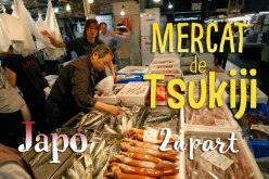 2a visita al mercat del peix de Tsukiji. Tokyo
