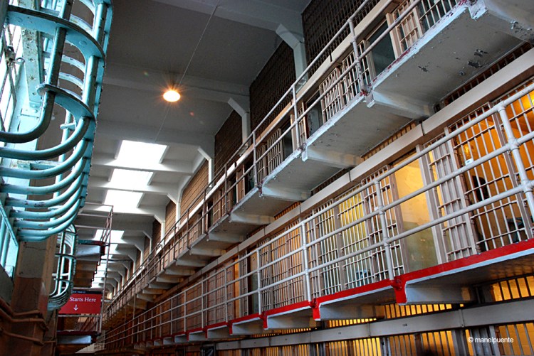 La visita pels pavellons és la part més destacada del tour