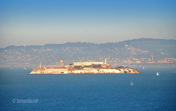 La illa, encara que de petites dimensions, destaca clarament a la Badia de San Francisco