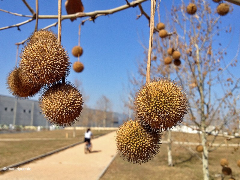 Ruta en bici per Les Franqueses del&nbsp;Vallès