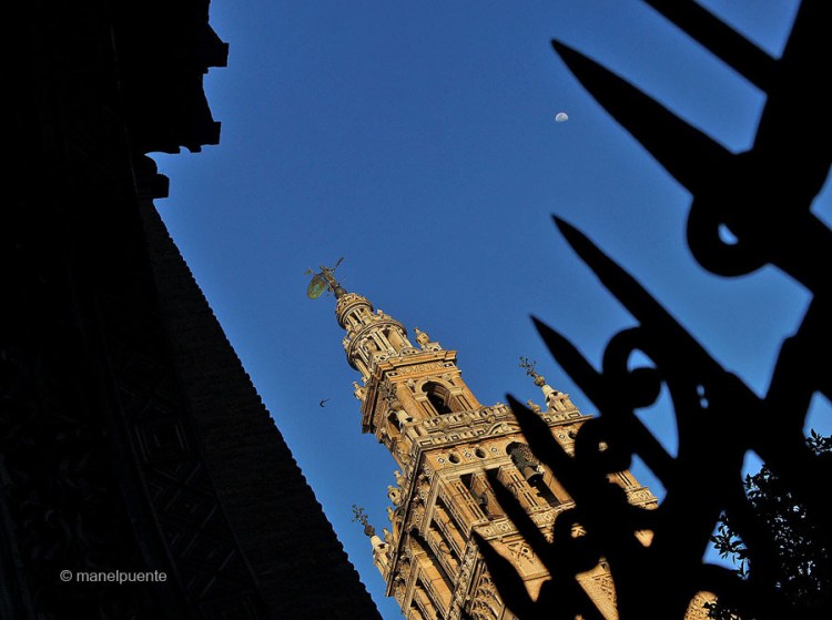 sevilla_catedral
